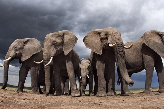 оһѧС飬ǶԵֵʧٶȽоֱ̿˽100