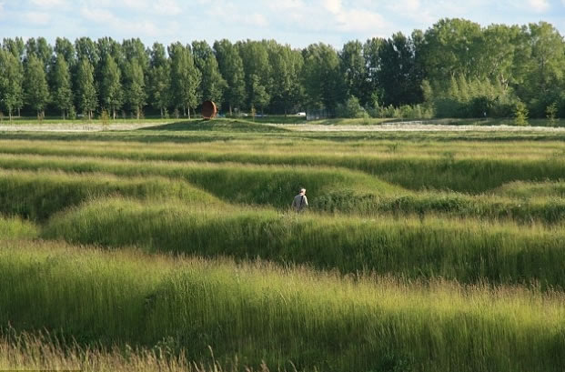 ������Ŀӵ�����۸�����