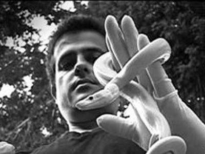 喀左中国暴龙将霸王龙科出现时间提前数千万年