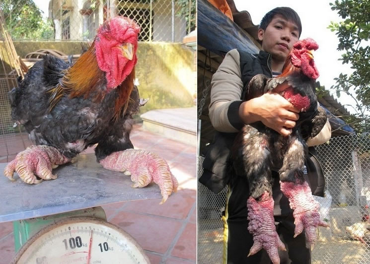 ���μ��Ľ�������������