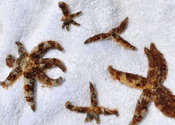 �������ϵ��ط������ܾͲ��ں���֮�С�