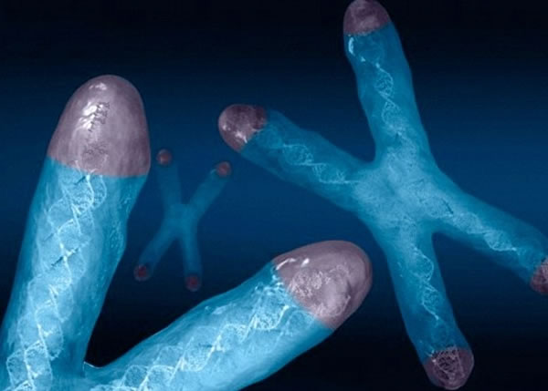 ������֯��̣���˥���кܴ��ϵ��