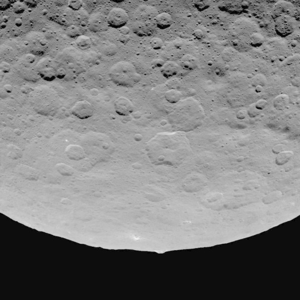 �����Ǳ����ձ�ƽ̹