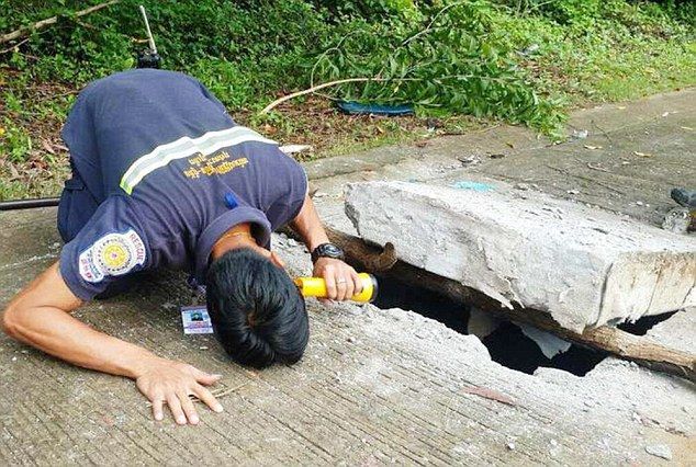 泰国普吉岛一条3米长巨蟒被卡在排水沟井盖的洞里