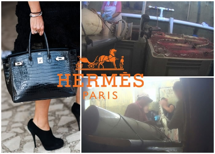 PETA��Ա͵������Ƥ����������������ϼ�����ͼ������ͼΪ����������Ƥ�ִ���