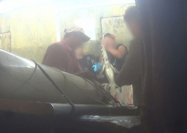 ����δ��Ū������ͽ�������