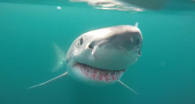 �����洬�����軷�ơ��Ӳ족