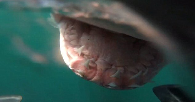 �����洬�����軷�ơ��Ӳ족