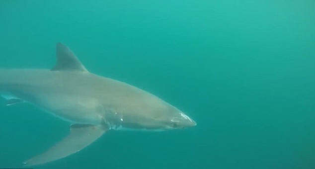 �����洬�����軷�ơ��Ӳ족