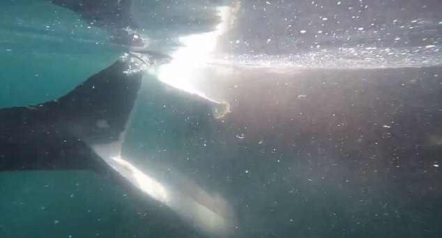 �����洬�����軷�ơ��Ӳ족