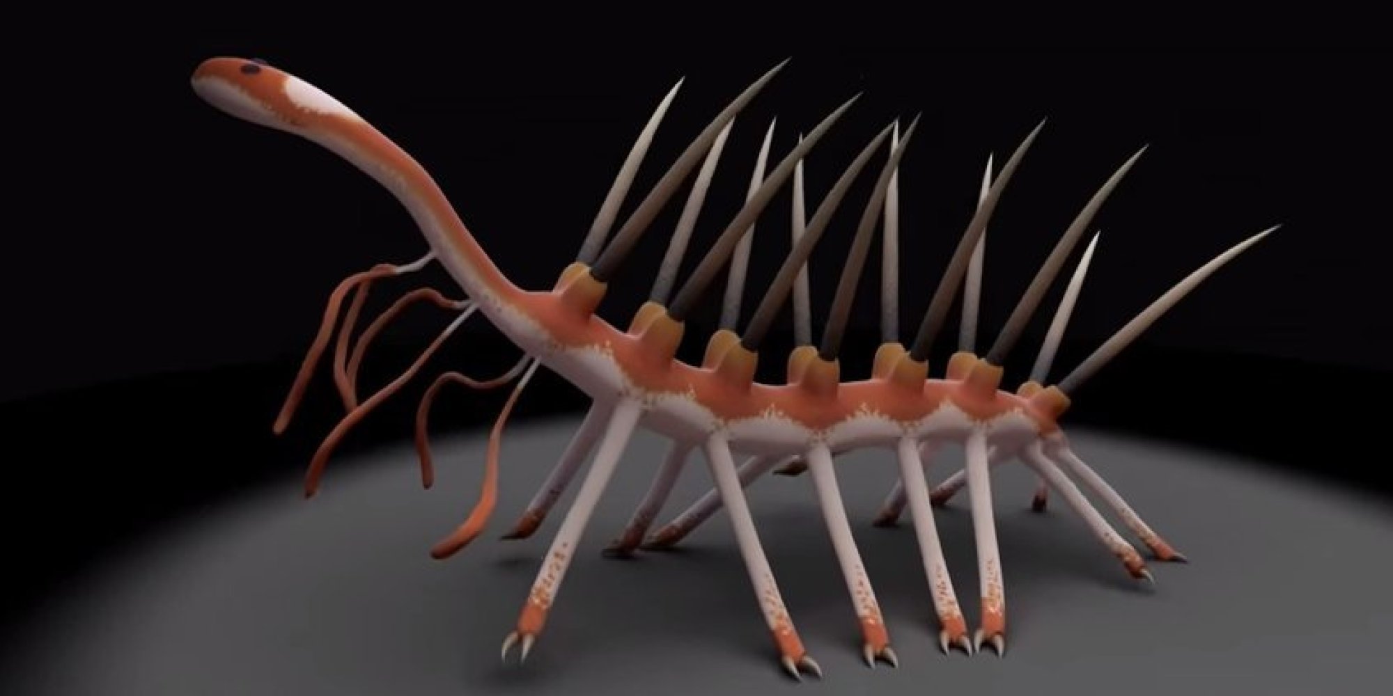 怪诞虫竟然是龙虾在5亿年前的老祖宗