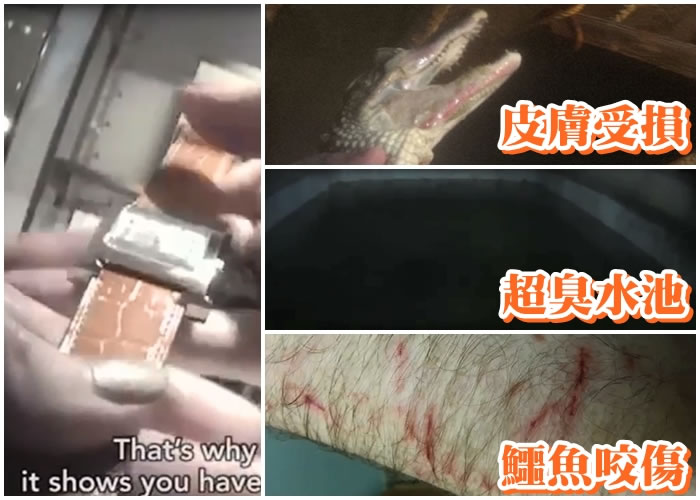 ����ס�ĳ�ˮ�أ�����ͼ����Ա��������ҧ�ˣ�����ͼ����������Ƥ�����⣨����ͼ����������ᱻ�Ƴɱ�������ͼ������PETAͼƬ��