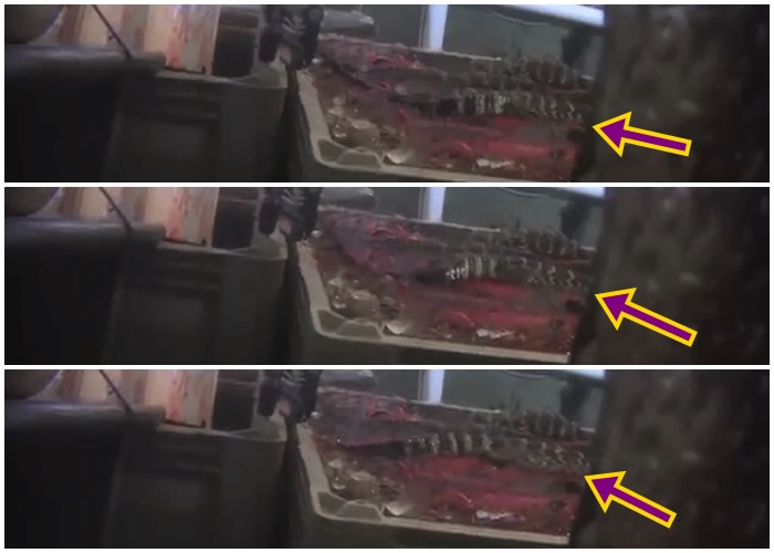 ���㱻�ŵ�����Ѫˮ��ˮ��ʱ�����ڶ���