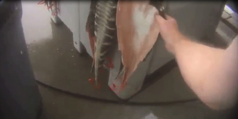 ���µ�����Ƥ