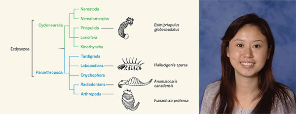 ���ϴ�ѧ������ѧ����������������綥��ѧ���ڿ���Nature��������������