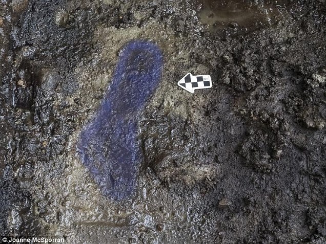 加拿大西海岸小岛发现可能是北美最古老的人类足印化石