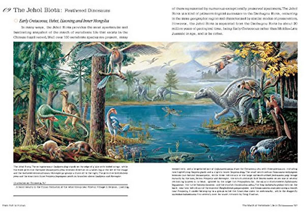 �����̣����㵽�˵�����֮�á�