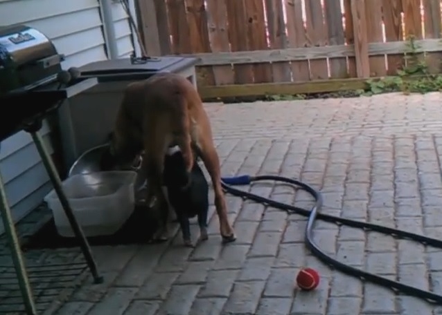 С������С����ˮʱ���Ѷ㵽�����¡�