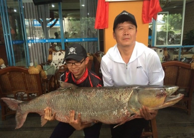 �Ĵ��ɶ�һ�����ո������ѱ���25������9ʱ��������������ʱ������һ����Լ1.63�ף���Լ49����Ĵ��㡣