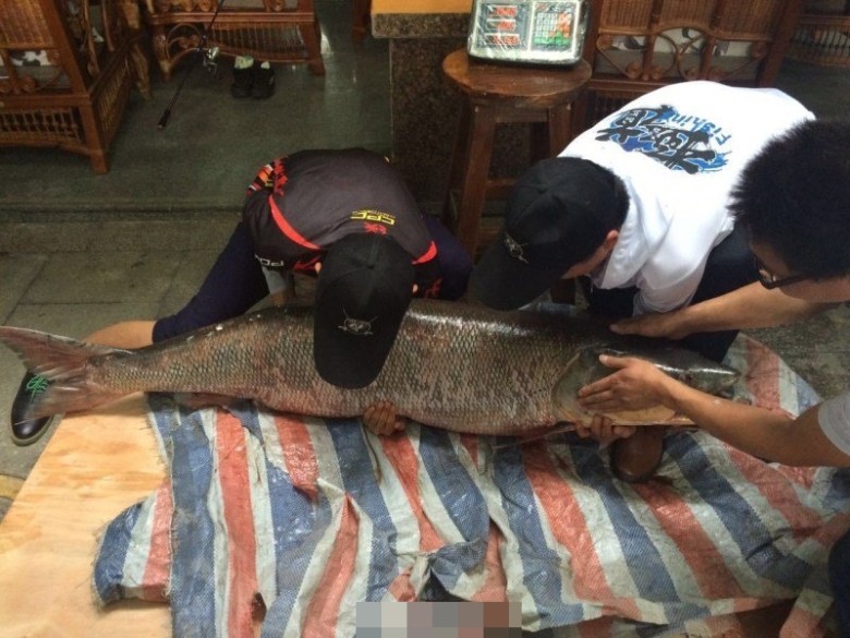 ������������ܰѴ���̧��