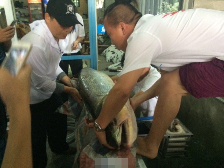 ������Լ49����