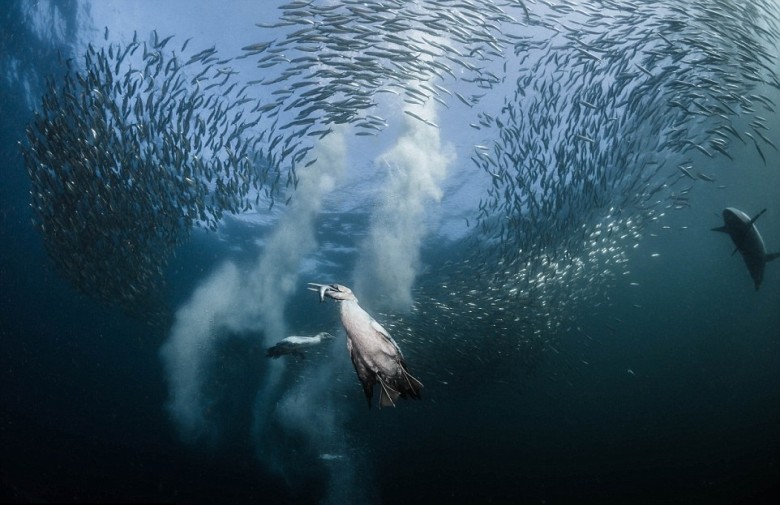 �����Ǵ���ն��