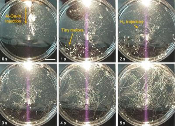 Һ̬�����������������������˶��켣����ͼ(���п̶ȳ�Ϊ1����)