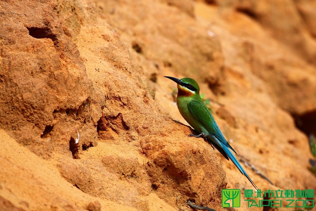 ����Ϊ�����վ��项�������仢����ͼ��̨����������԰�ṩ��