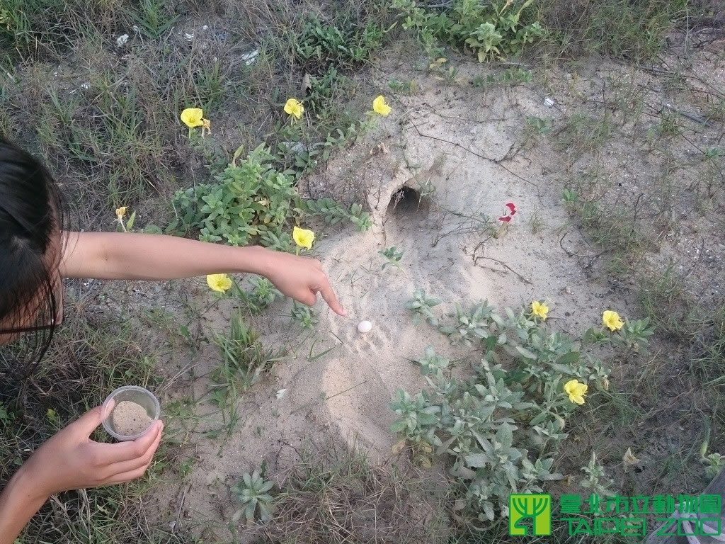 ����Ϊ�����վ��项�������仢����ͼ��̨����������԰�ṩ��