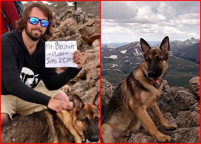 ͼ׵УҵͼжȥϧΪˡ