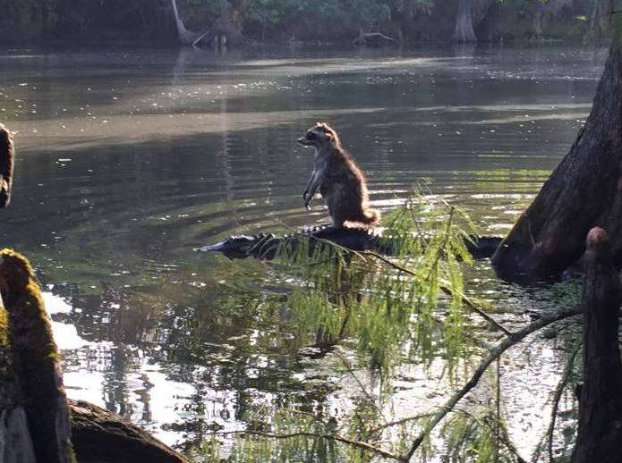 ��ǰ��С������������