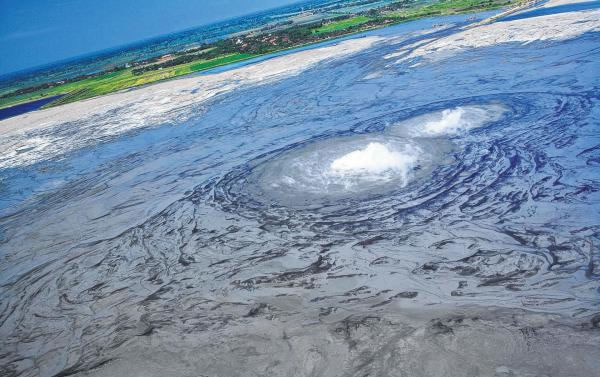 ӡ��һ��������˾9��ǰ�ڶ�צ��һƬ���￱̽����ʱͻȻӿ�������ཬ��������δֹͣ��