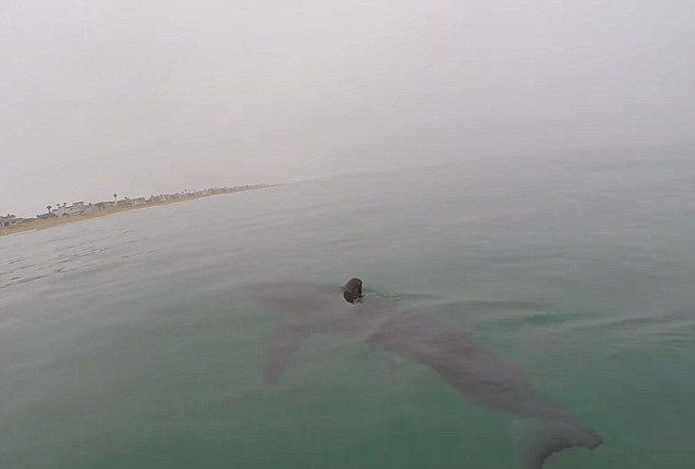 �������ӻ����˰�Ѱ�Ҵ���貢¼������