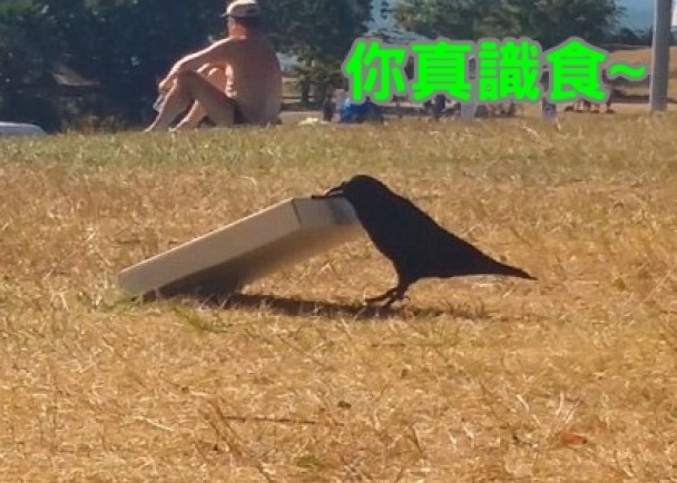 ��ѻ�����û�򿪱����С��ҳԡ���