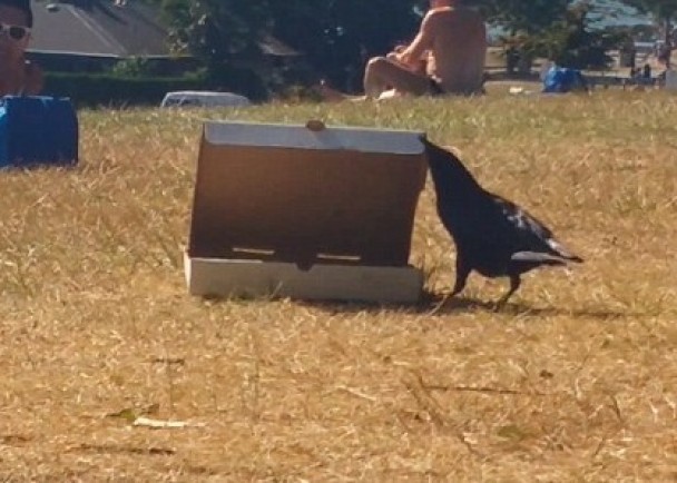 ���෬���Բ��������ҵ��˿��еľ��ϡ�