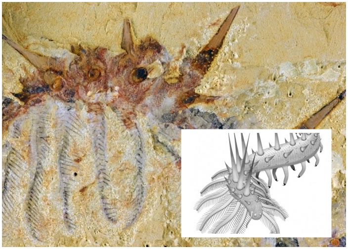 Ϸһֺʱڵĺ滯ʯë˹ӢŴѧоԱعóΣСͼɼӵһס