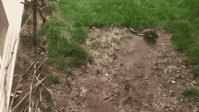 ��β������Ϊ������������������