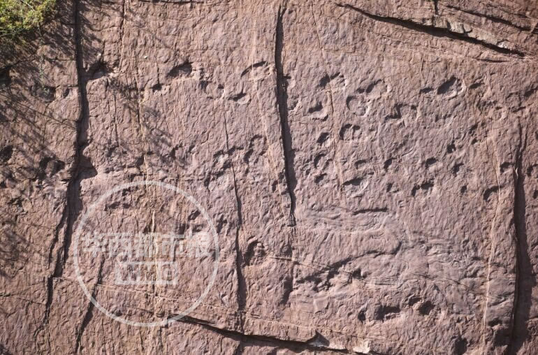 四川古蔺县发现新形态恐龙足迹——蜀南刘建足迹