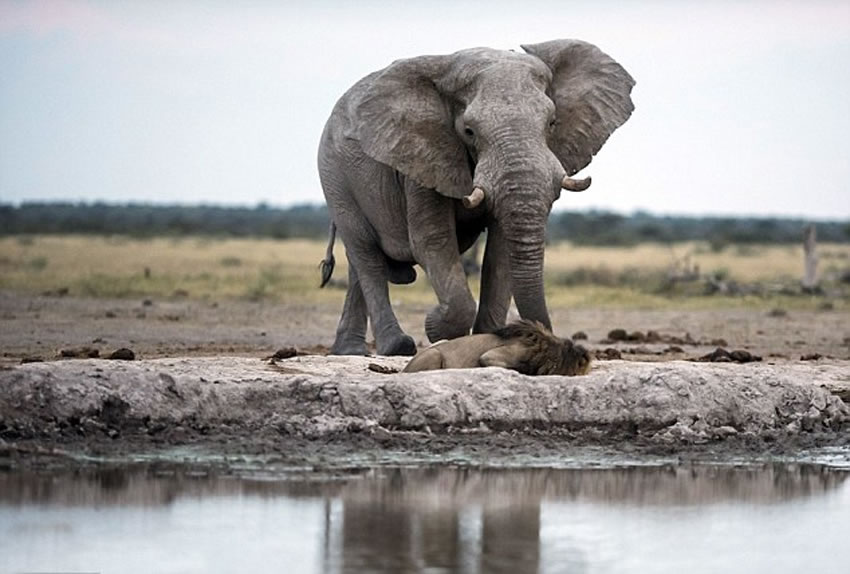 ���޲������ɿڿ���ʨ��ˮ̶ǰ��ˮ����������