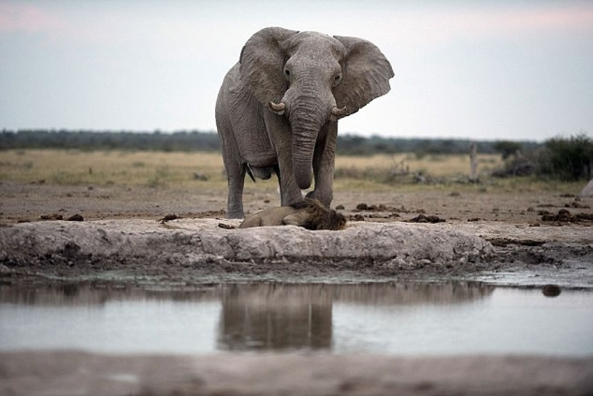 һֻ����ĬĬ�Ӻ������˹���