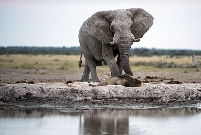 �ڿʵ�ʨ�Ӵ�ˮ������ˮ����û��ע�⵽����Ӻ���ӽ���