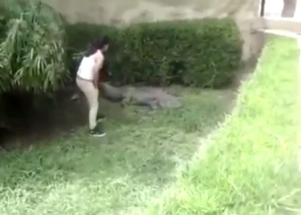 ��Ů�������㣬��������һ�¡�