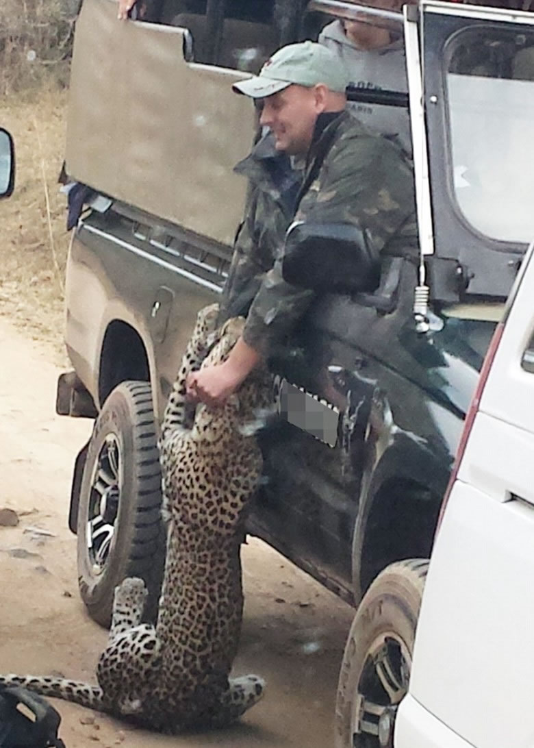 ȻڳĿ򻨱ȭȴſڣҧסķ֡