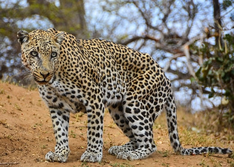 ͼڻʩϮǰ30ӣɼд򶷺ۼ