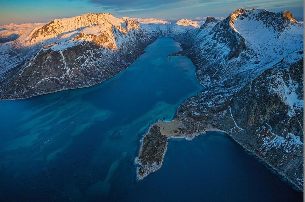 ����ƫ���ڿ��Խ�����Ƶ�ˮ��ĵط���ʳ���ǣ����簲˹Ͽ���лҰ�ɫ��ǳ̲�� Photograph by Paul Nicklen