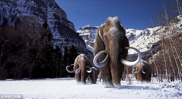 制定克隆猛犸象的计划迈出的一步