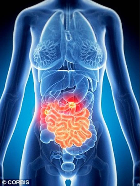 �Խ᳦�����ߵ��о����֣����س������ֵĻ��������ƺ��ƽ�����ʱ������������߶��˽���3����