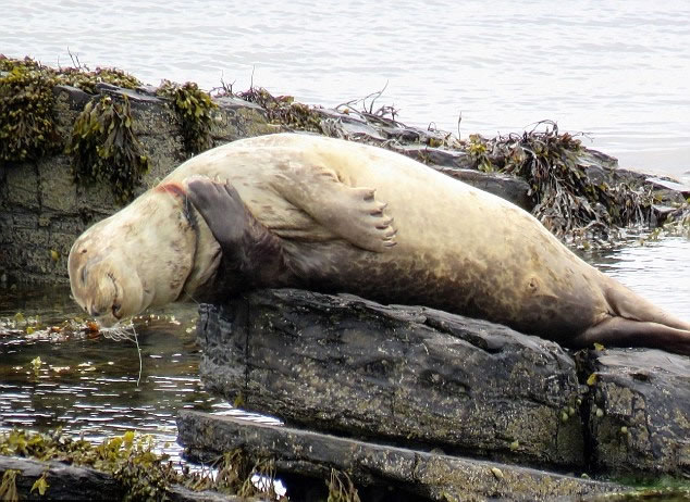 ����������ͼ����������˿