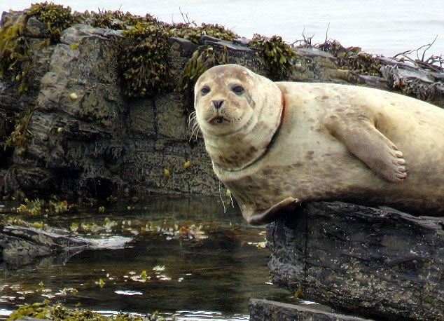 �������鰧��