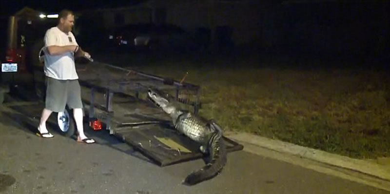 ����������㱻�յ���һ�������